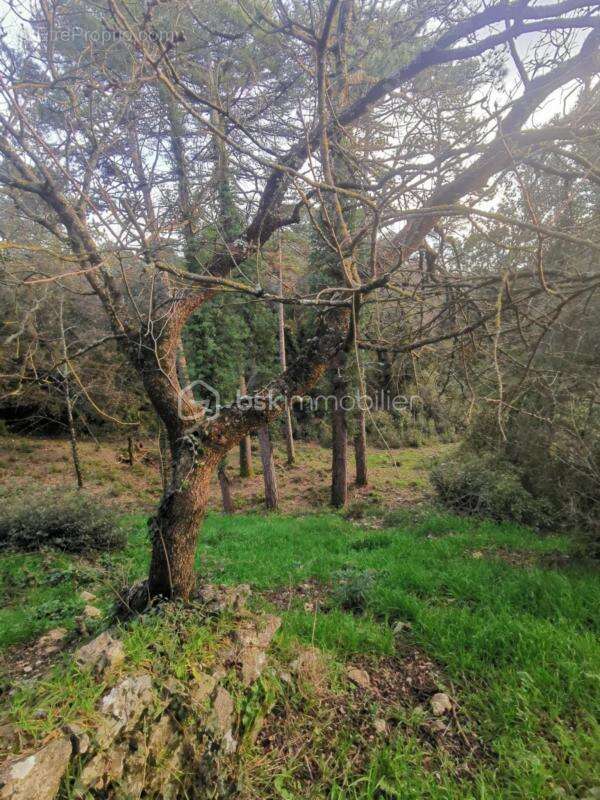 Maison à BROUZET-LES-ALES