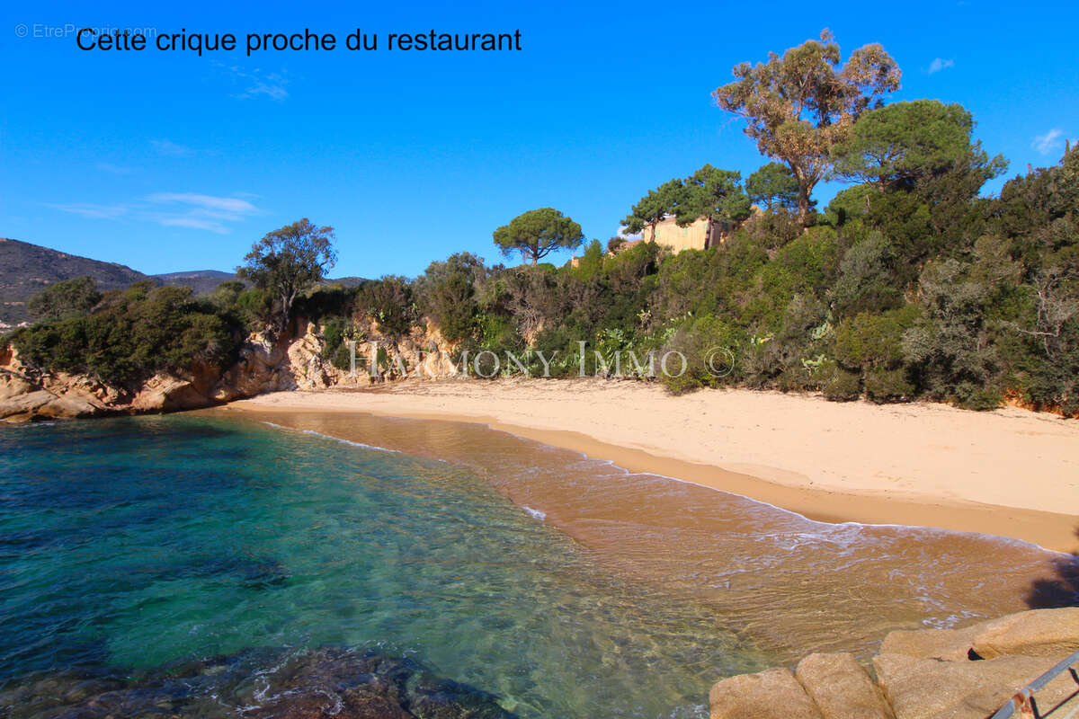 Commerce à AJACCIO