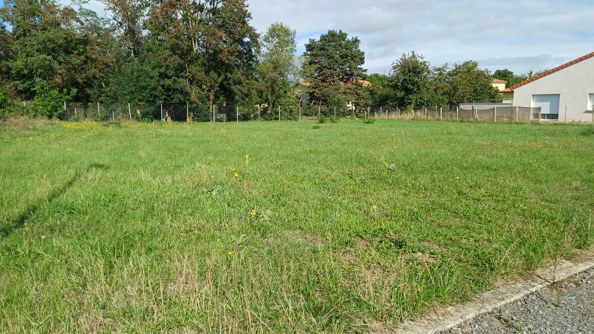 Terrain à LE CHEIX