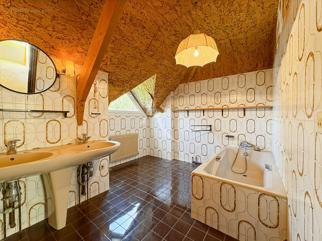 Propriété à Auvers-Saint-Georges - jardin paysagé, beaux espaces, sous-sol total - photo 12