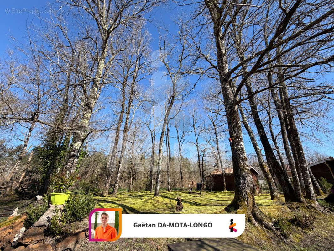 Maison familiale avec dépendances   cadre exceptionnel en lisière de forêt - photo 28