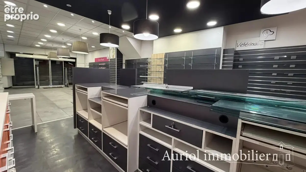 AURIOL Immeuble 200 m2 avec Commerce, Bureau et Appartement - photo 2