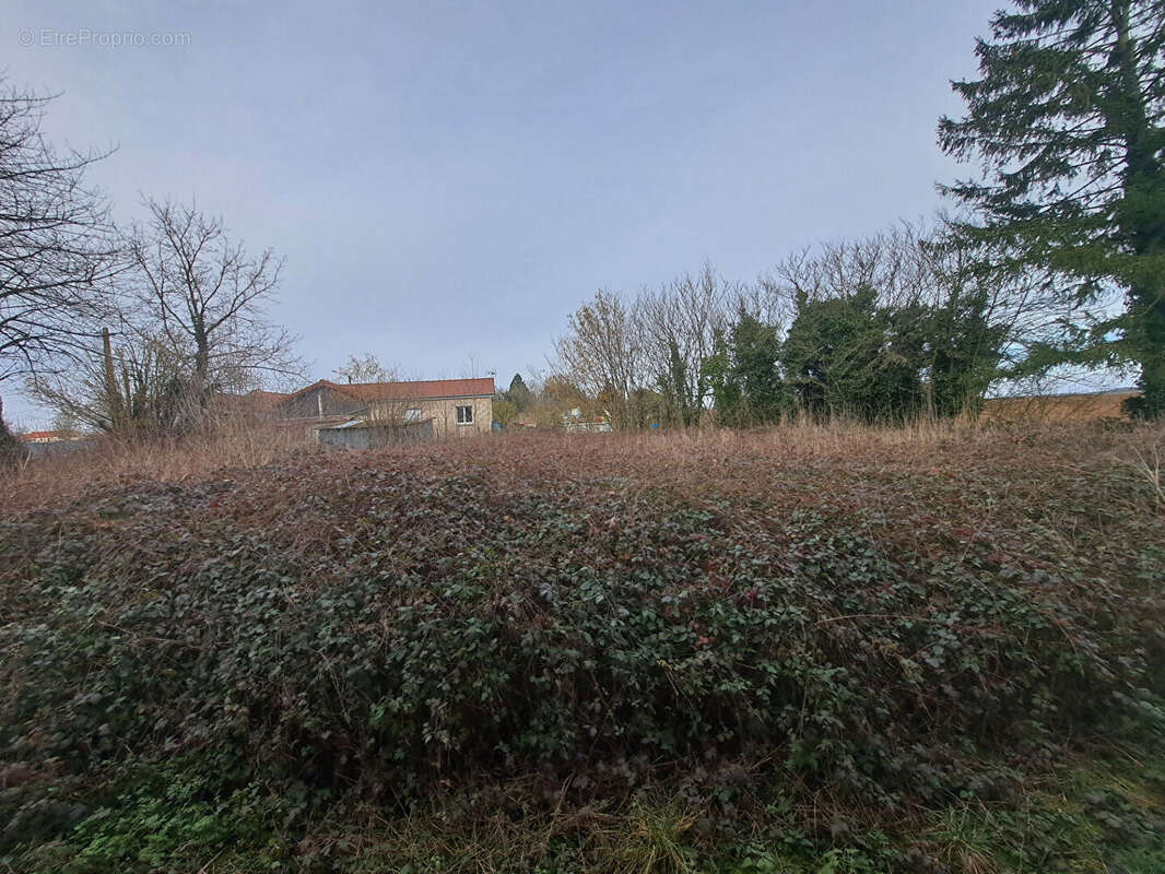 Terrain à CHARBOGNE