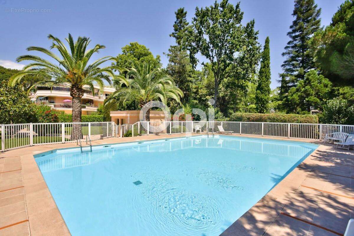Rooftop, secteur Minelle, 4 pièces aux 3 expositions, piscine, garage, 2 parkings - photo 2