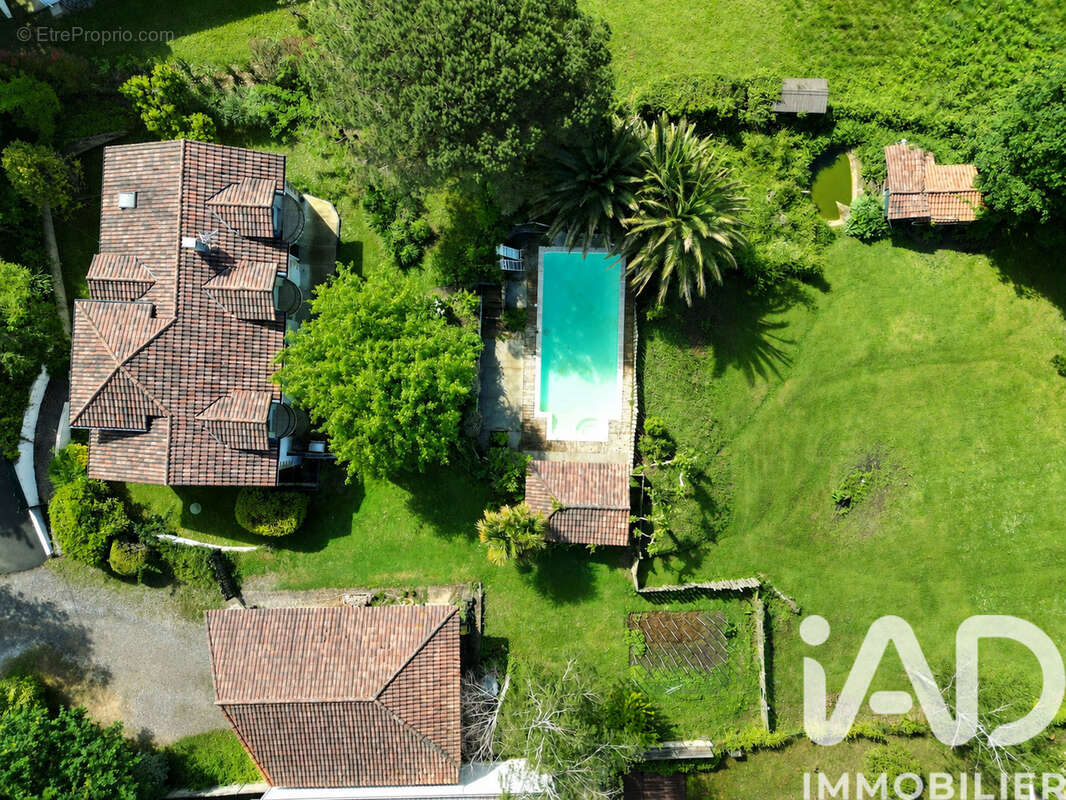 Photo 1 - Maison à ARBONNE