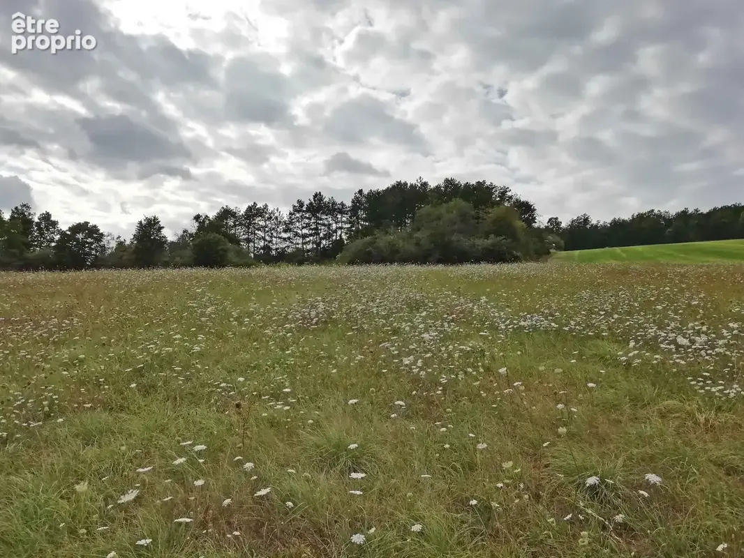 Terrain à bâtir 4.100 à 8.200m²