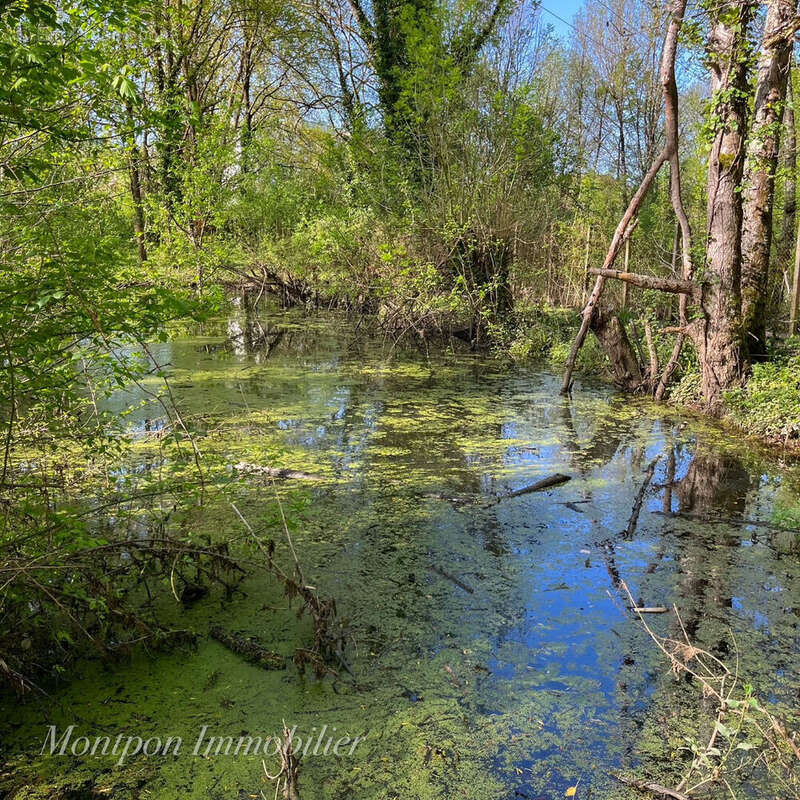 Maison Montpon Menesterol centre - photo 11