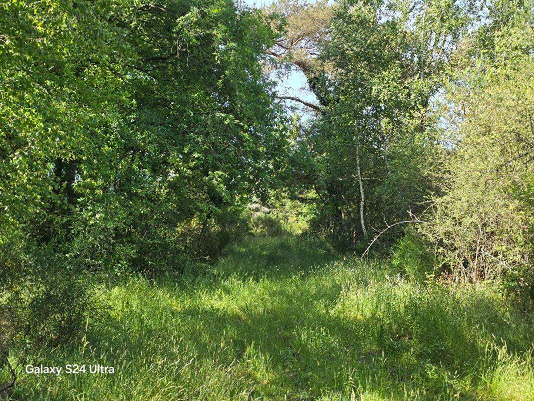 Terrain à MONTEREAU