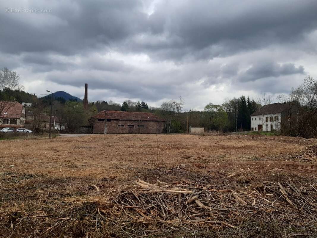 Terrain à LA PETITE-RAON