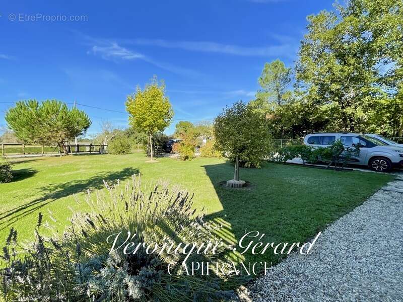 Maison à ORIGNOLLES