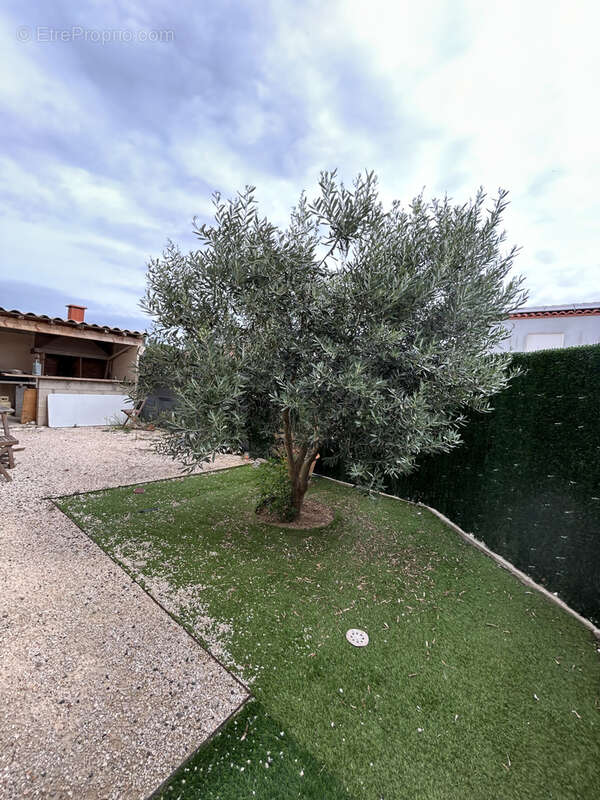 Maison à MAUREILLAS-LAS-ILLAS