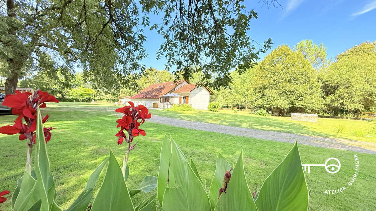 Élégance landaise et nature souveraine à 1h30 de Bordeaux - photo 4