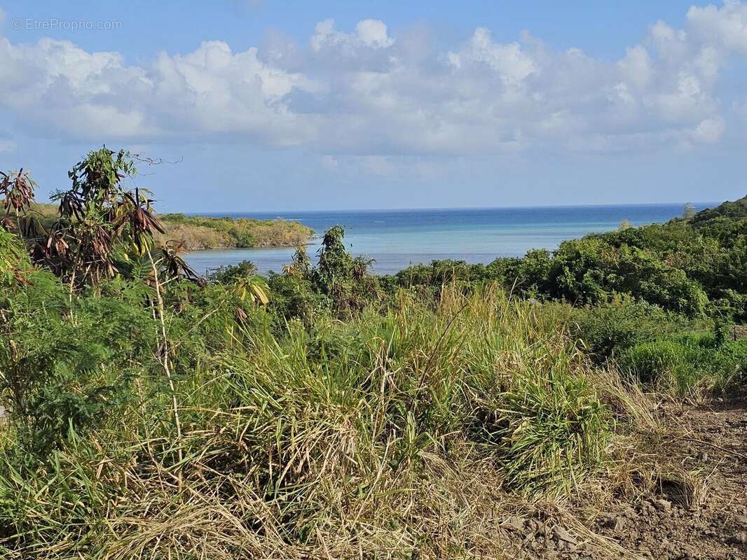 Terrain à LE DIAMANT