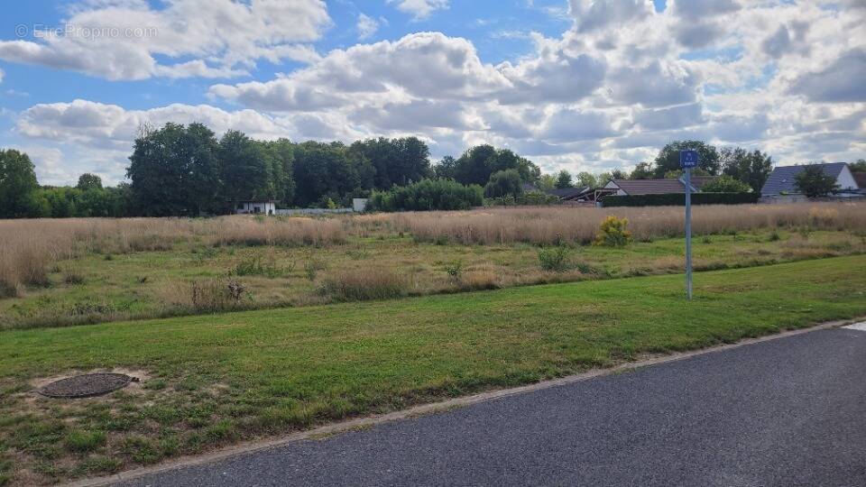 Terrain à VAL-DE-VESLE