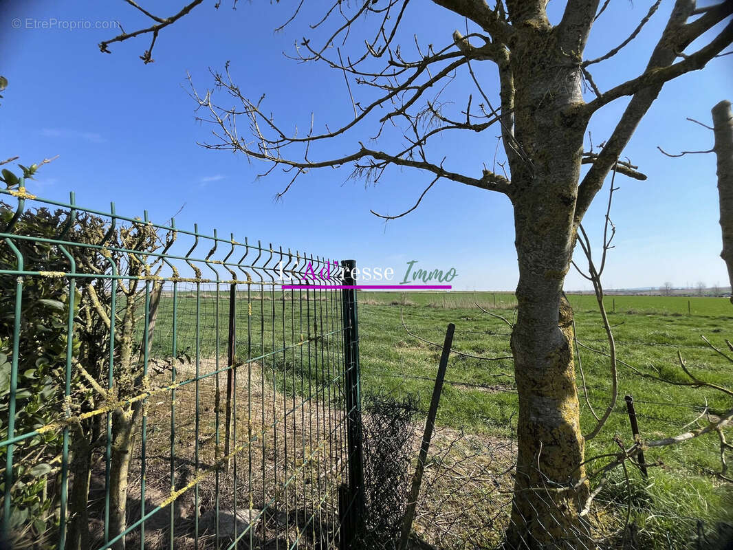 Terrain à CROISILLES
