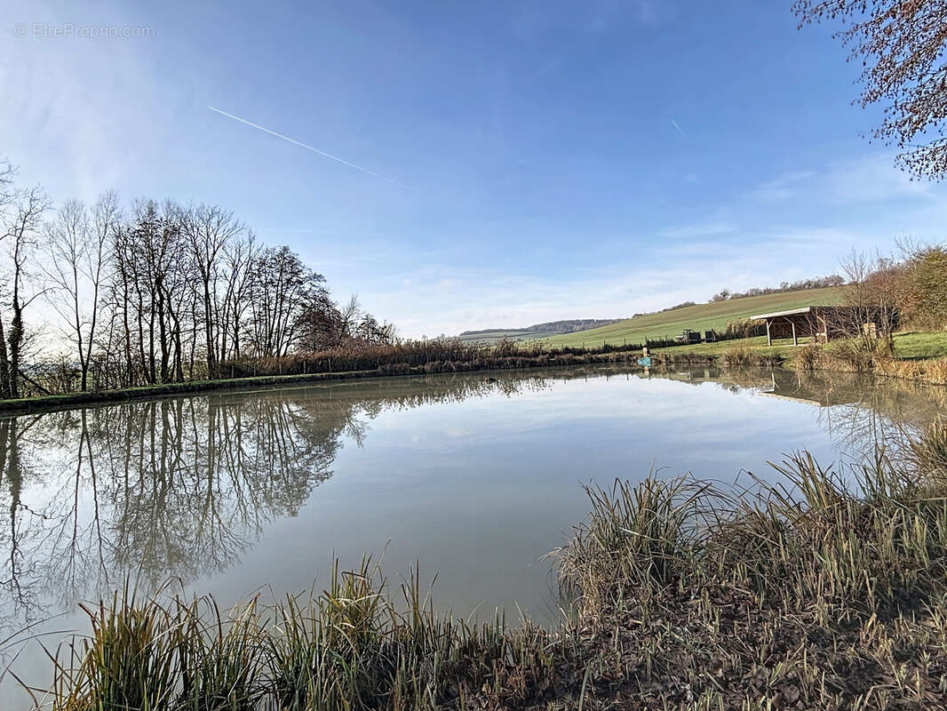 Terrain à MIRECOURT