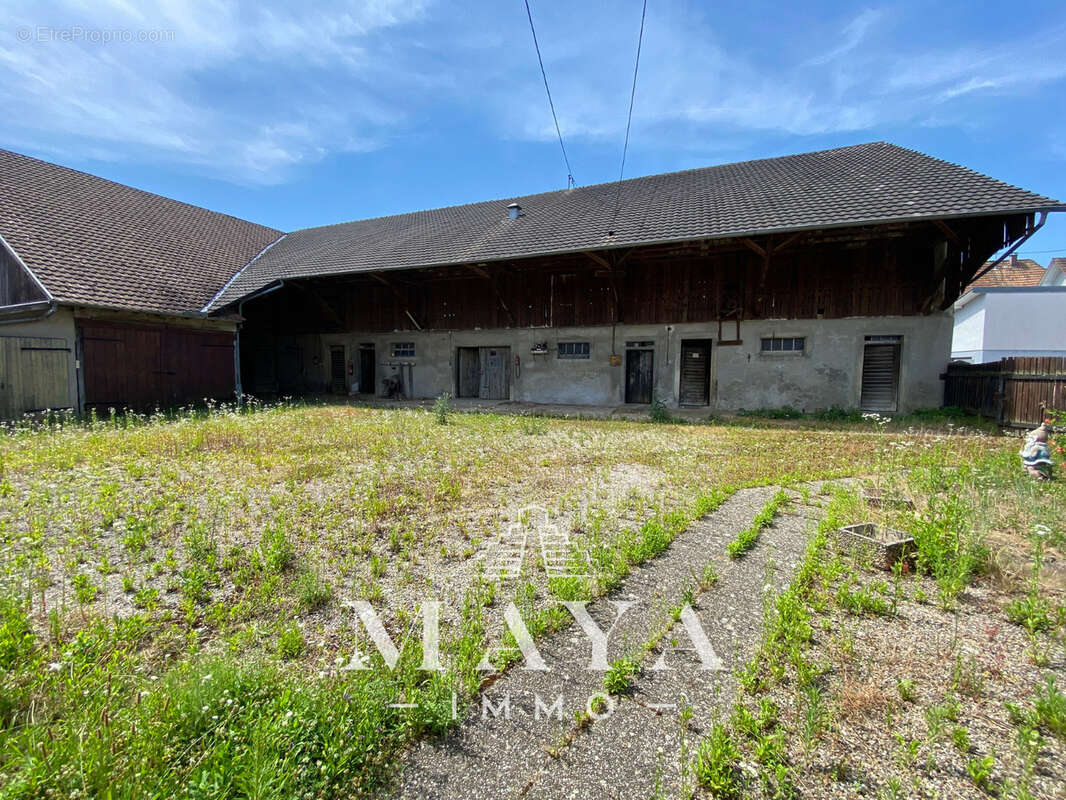 Steinbrunn-Le-Haut, Maison avec dépendance. - photo 15