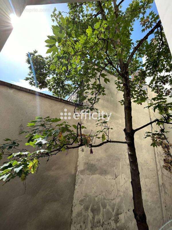 Appartement - photo 18