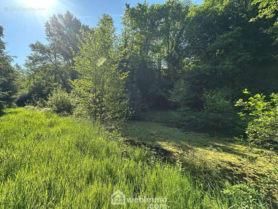 Coup de c½ur assuré - Terrain à PARFONDRU