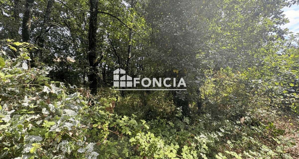 ALERTE PROMOTEURS – Opportunité foncière à Étaules - photo 5