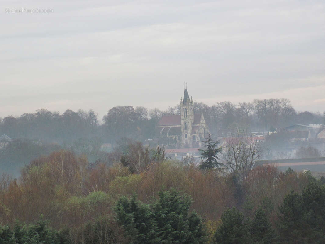 Terrain à LE THILLAY