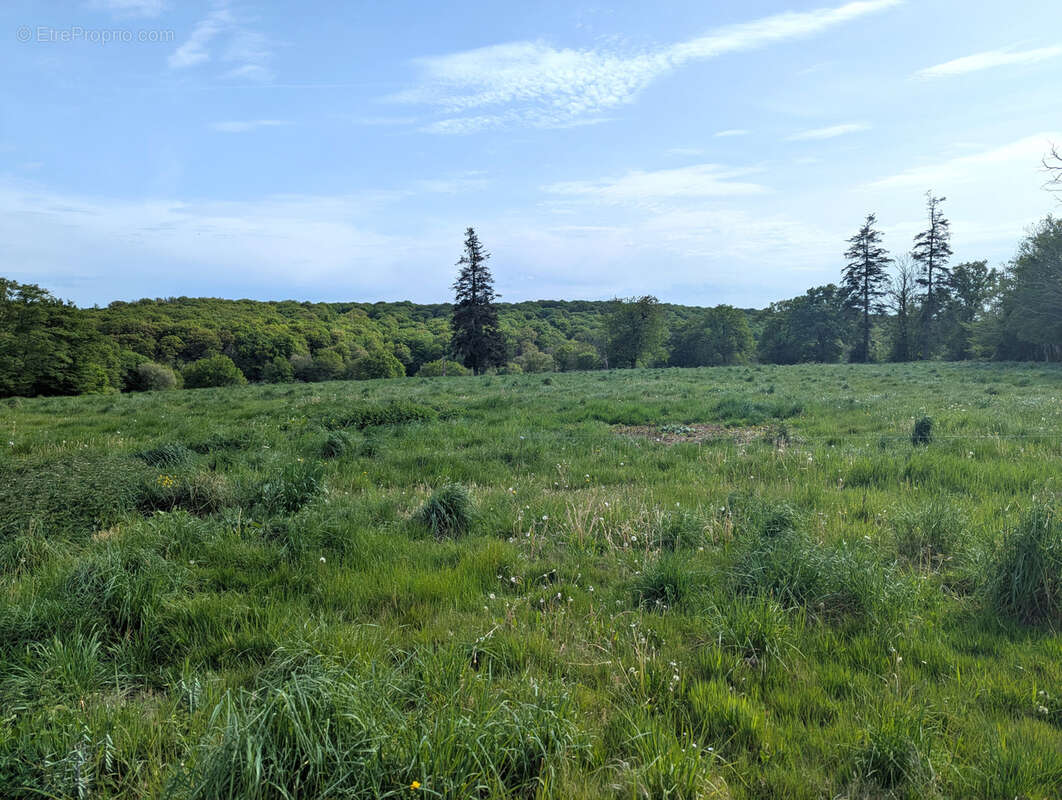 Maison de campagne avec grange à porteau sur 1ha5 ! - photo 3