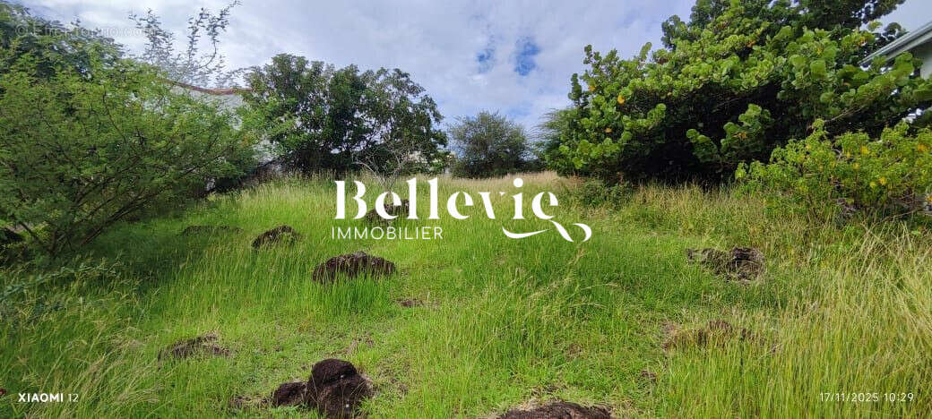 Terrain à TERRE-DE-BAS