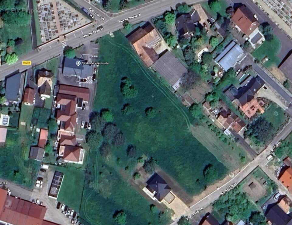 Terrain à HAGENTHAL-LE-BAS