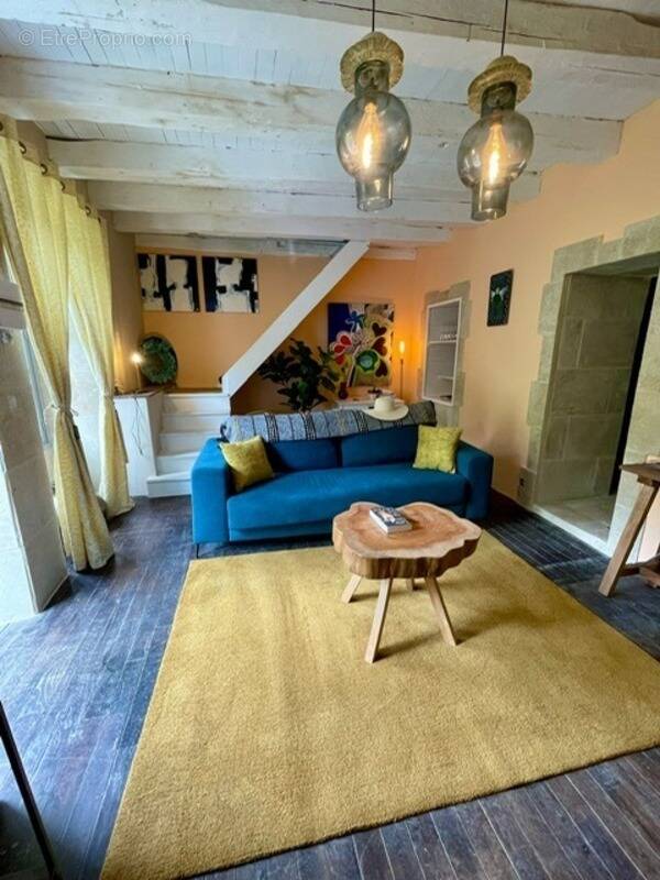 Maison à VIEILLEVIE