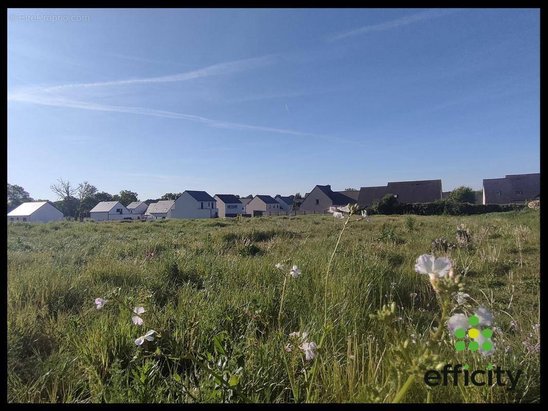 Terrain à SAINT-DIDIER