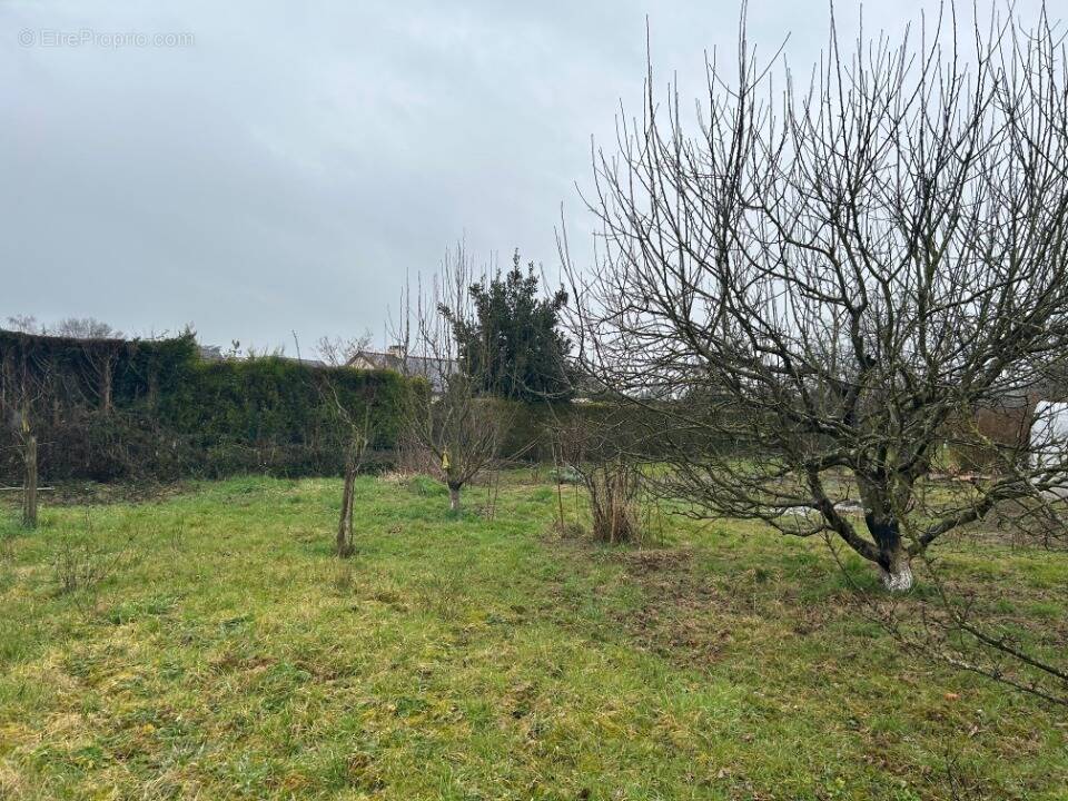 Terrain à AMBILLOU-CHATEAU