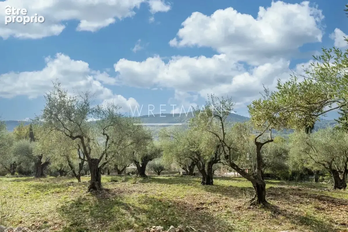 Charmante propriété au cœur d'une oliveraie - Tourrettes-sur-Loup - photo 22