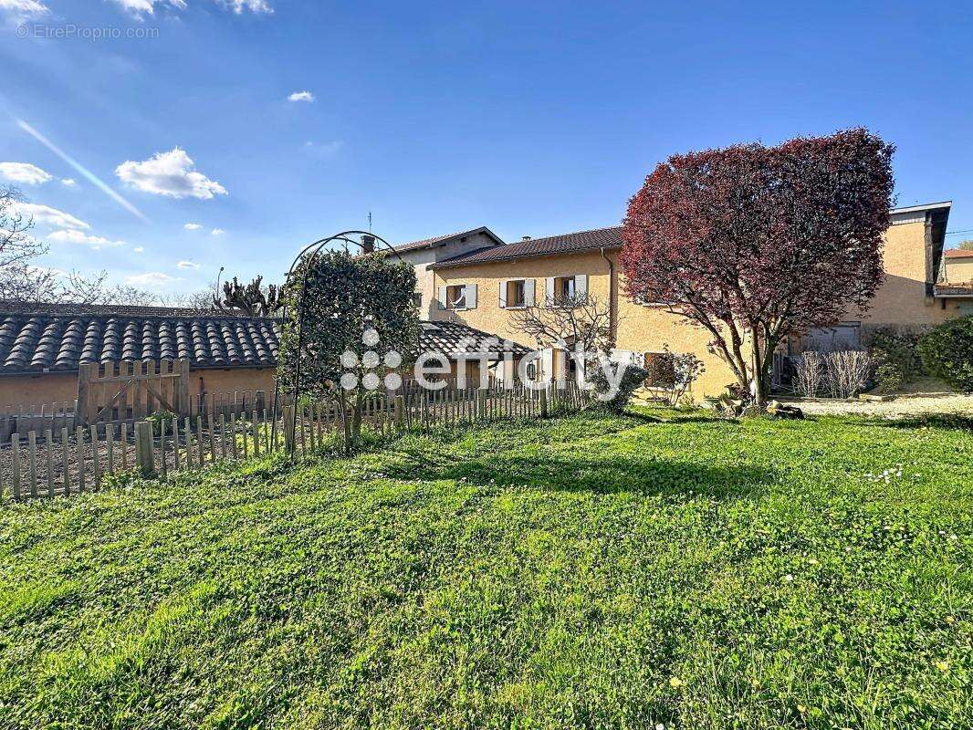 Maison à NEUVILLE-SUR-SAONE