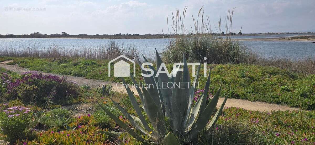 Photo 2 - Maison à GRUISSAN