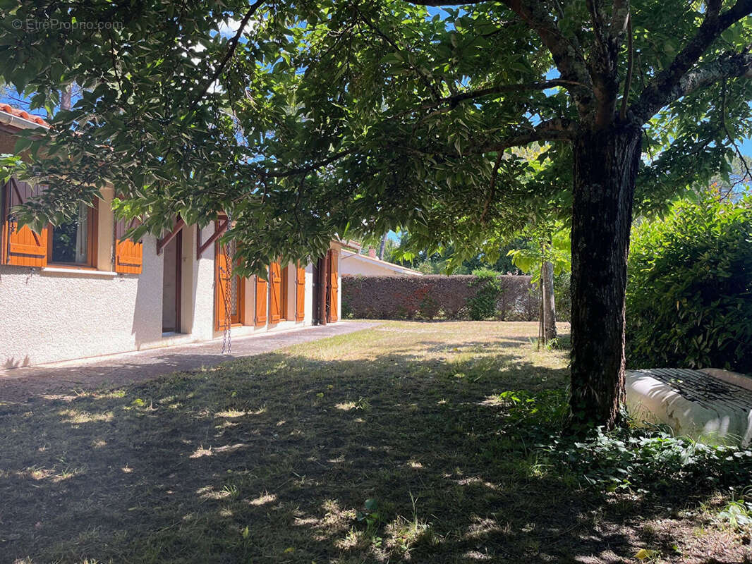 Maison à LEGE-CAP-FERRET