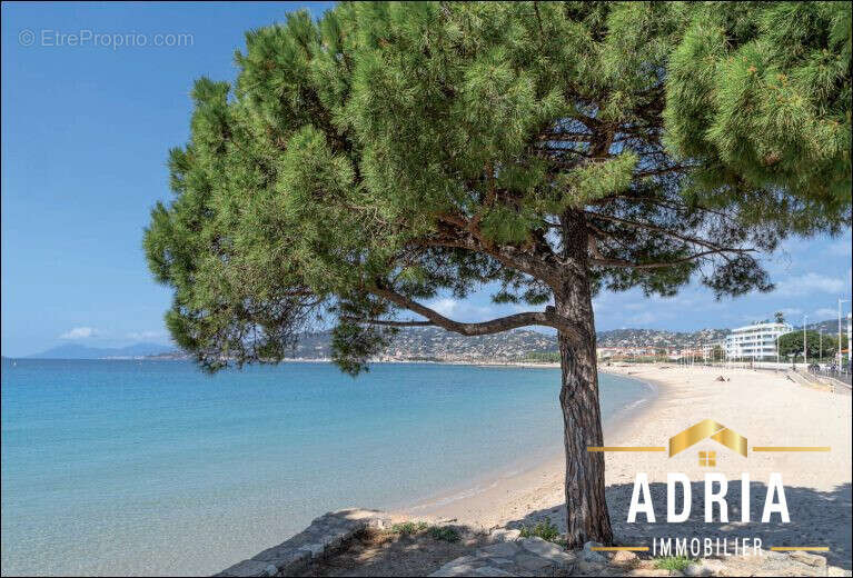 Appartement à VALLAURIS