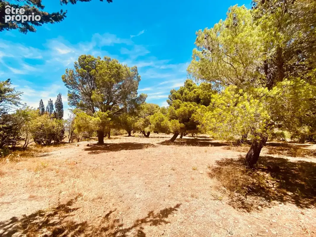 La Palme   Magnifique propriété de caractère au cœur de la nature, à moins de 10 minutes de la mer - photo 57