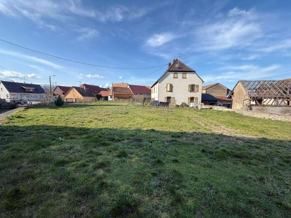 Terrain à GUNDOLSHEIM