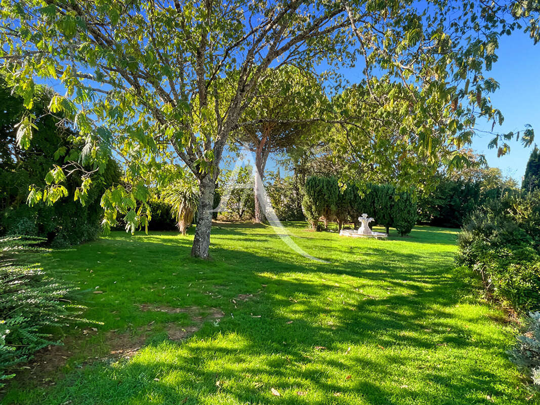 Maison à SAINT-AMANS-DU-PECH