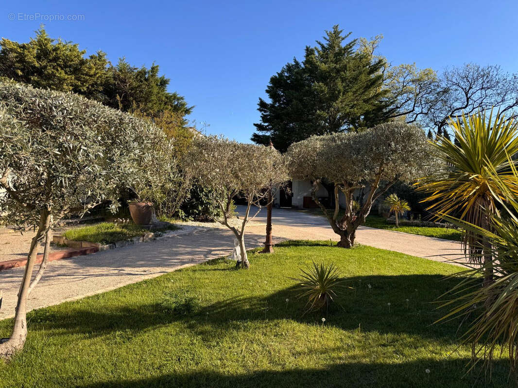 Maison à SAINT-REMY-DE-PROVENCE