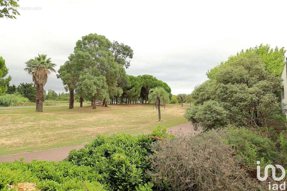 Photo 2 - Commerce à SAINT-CYPRIEN