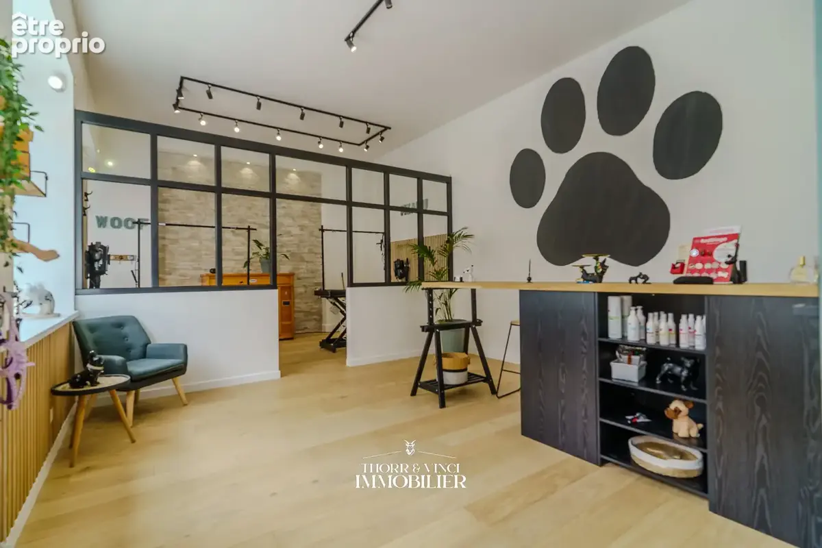 Local Professionnel- 55 m2 - Altkirch - photo 1