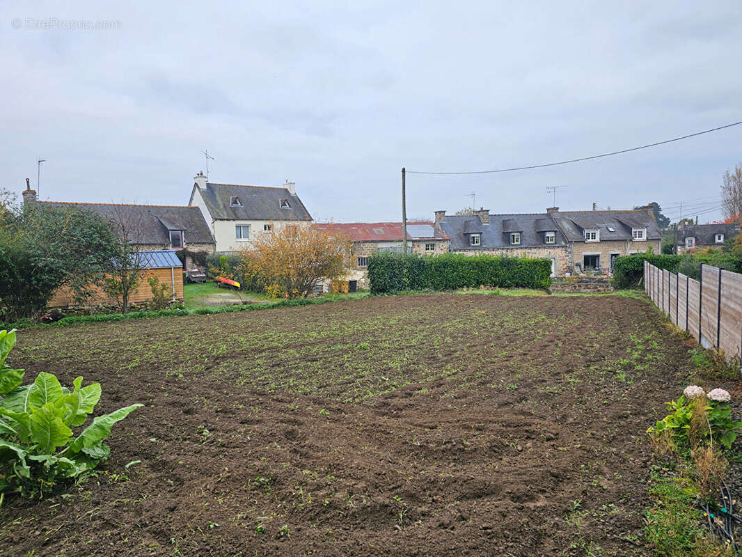Terrain à LANGUEUX