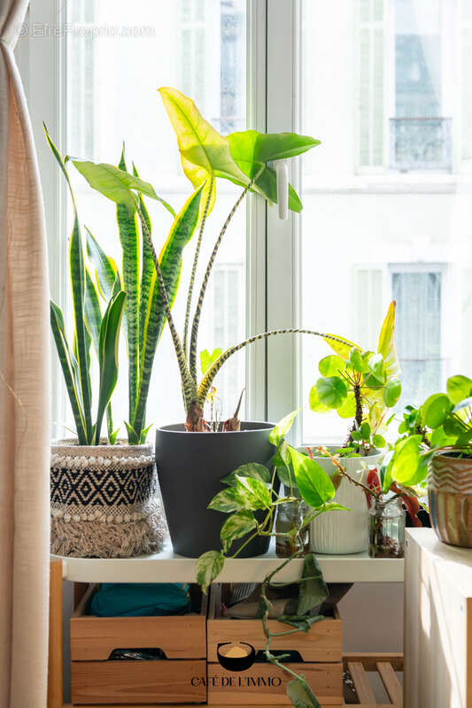 Appartement à MARSEILLE-6E