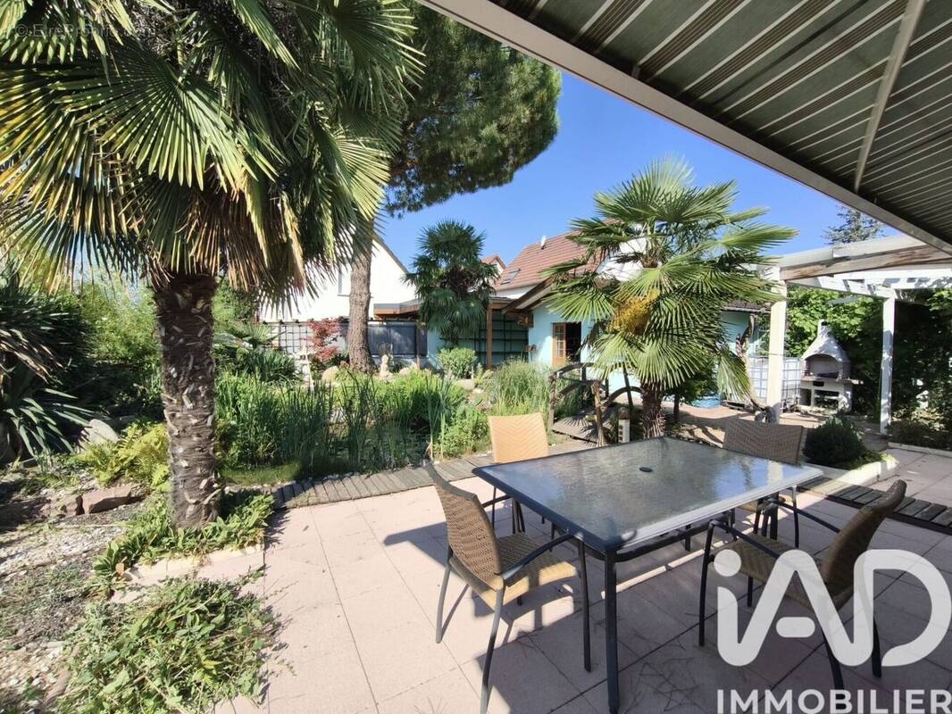 Photo 1 - Maison à HOCHSTATT