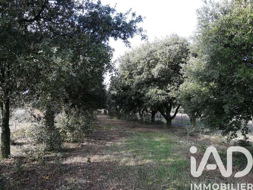 Photo 5 - Terrain à SAINTE-CECILE-LES-VIGNES