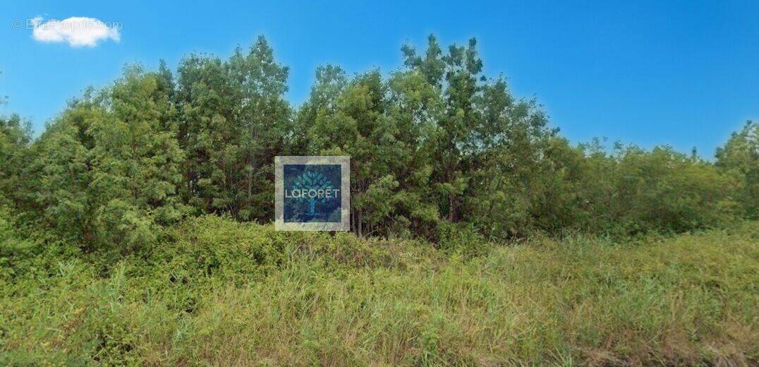 Maison à BRAUD-ET-SAINT-LOUIS