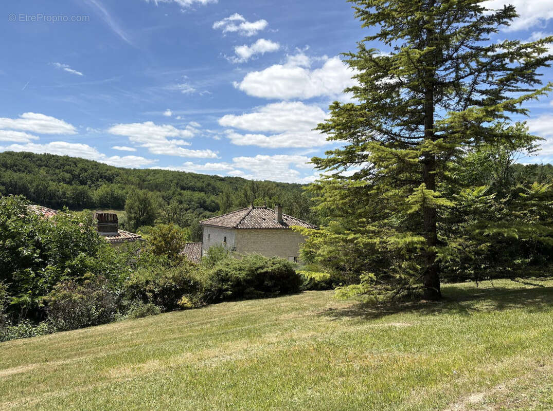Un véritable havre de paix au cœur d'un village du Quercy. - photo 24