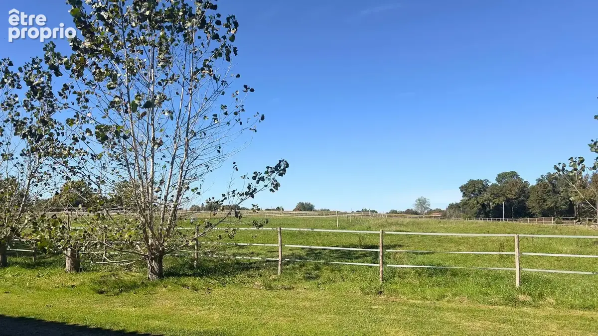 Propriété équestre de charme au coeur des Landes - photo 11