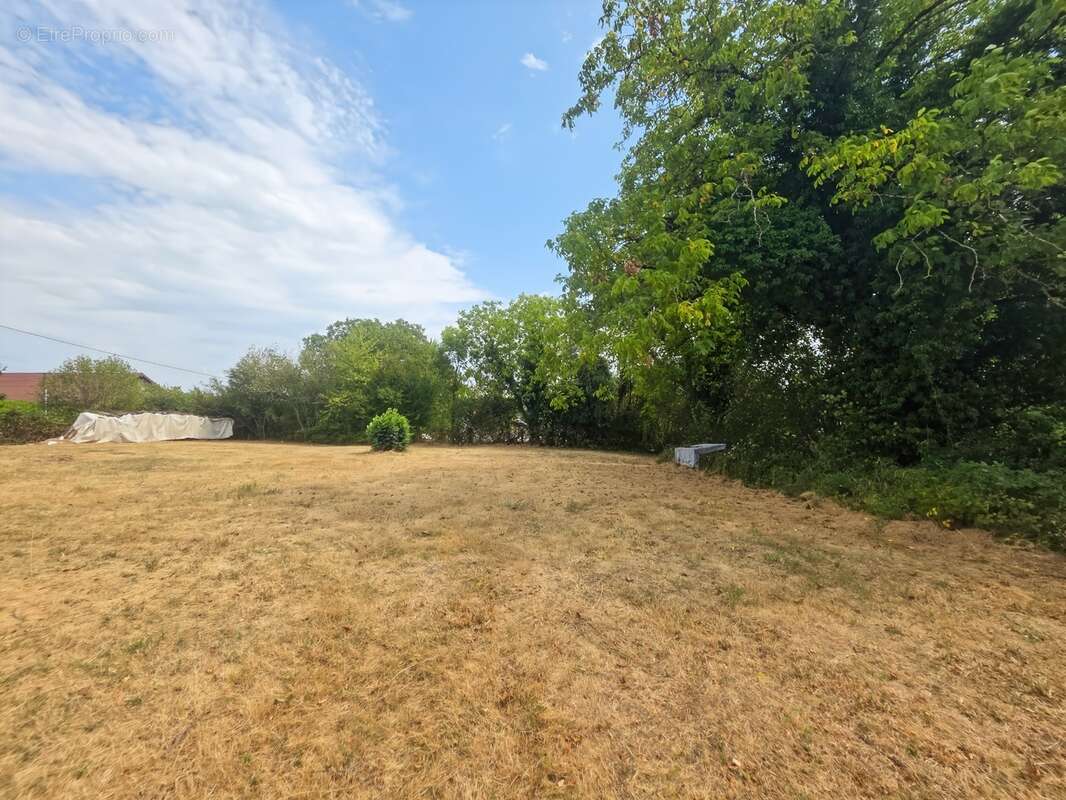 Terrain à vendre de 1 200,00 m² VERS SOUS SELLIERES (39) - photo 5